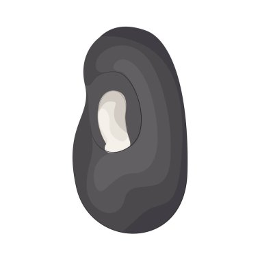 Bu fasulyeler taze, lezzetli ve doğal güzelliklerle dolu görünüyor. Demir, potasyum ve folik asit gibi bitkisel protein, lif ve temel besinler için mükemmel bir kaynaktır.. 