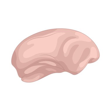 Bu fasulyeler taze, lezzetli ve doğal güzelliklerle dolu görünüyor. Demir, potasyum ve folik asit gibi bitkisel protein, lif ve temel besinler için mükemmel bir kaynaktır.. 