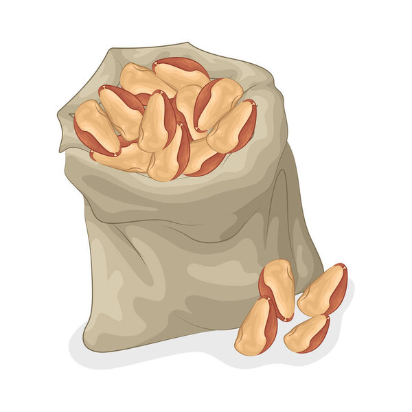 Эти бобы выглядят свежими, вкусными и упакованы с натуральной добротой. Они являются отличным источником растительного белка, клетчатки и необходимых питательных веществ, таких как железо, калий и фолиевая кислота.. 