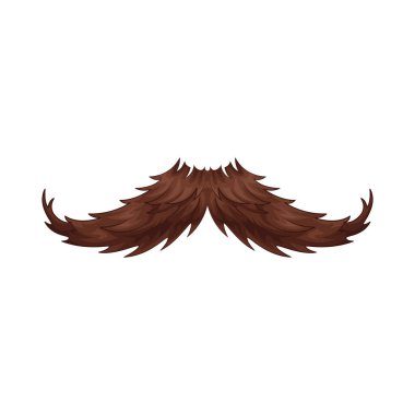 Zarif kahverengi bıyık ustalıkla şekillendirilmiş, zengin kestane rengi sıcak ve zarif bir izlenim veriyor..