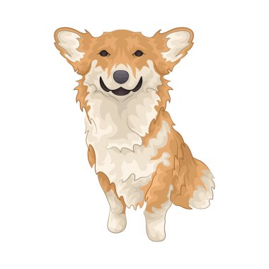 Büyük parlak gözleri olan sevimli ve sevimli bir köpek. Yumuşak kürklü ve sallanan kuyruklu.