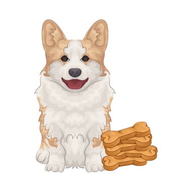 Büyük parlak gözleri olan sevimli ve sevimli bir köpek. Yumuşak kürklü ve sallanan kuyruklu.