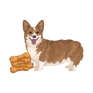 Büyük parlak gözleri olan sevimli ve sevimli bir köpek. Yumuşak kürklü ve sallanan kuyruklu.