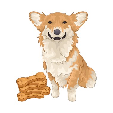 Büyük parlak gözleri olan sevimli ve sevimli bir köpek. Yumuşak kürklü ve sallanan kuyruklu.