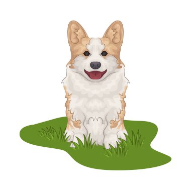 Büyük parlak gözleri olan sevimli ve sevimli bir köpek. Yumuşak kürklü ve sallanan kuyruklu.