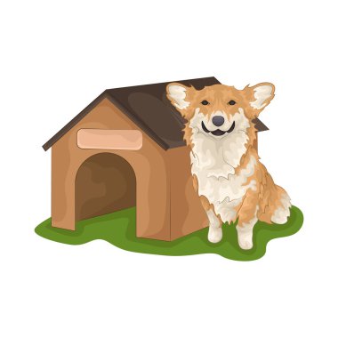 Büyük parlak gözleri olan sevimli ve sevimli bir köpek. Yumuşak kürklü ve sallanan kuyruklu.