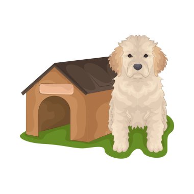 Büyük parlak gözleri olan sevimli ve sevimli bir köpek. Yumuşak kürklü ve sallanan kuyruklu.