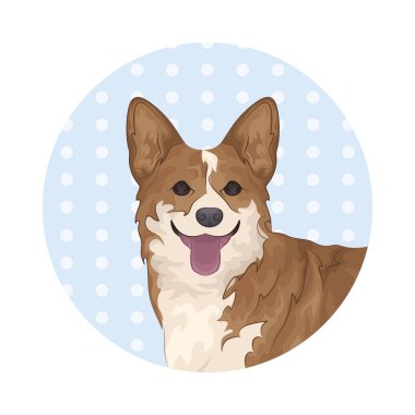 Büyük parlak gözleri olan sevimli ve sevimli bir köpek. Yumuşak kürklü ve sallanan kuyruklu.