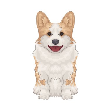 Büyük parlak gözleri olan sevimli ve sevimli bir köpek. Yumuşak kürklü ve sallanan kuyruklu.