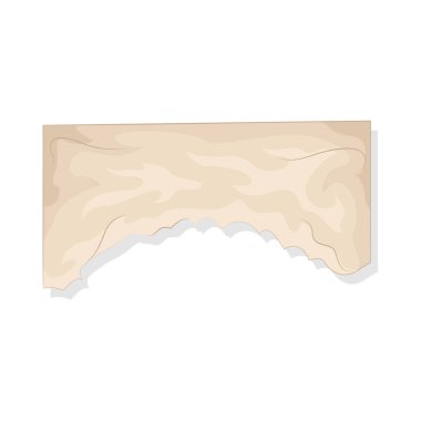 Bu yırtık kağıt pürüzsüz bir yüzeye sahip liften yapılmıştır. Bu kağıt eskimiş ve kahverengimsi görünüyor..