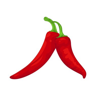 Kırmızı biberler canlı ve taze görünüyor, pürüzsüz, parlak bir cilt ve sıkı bir dokusu var. Bu da sadece hasat edildiklerini gösteriyor..