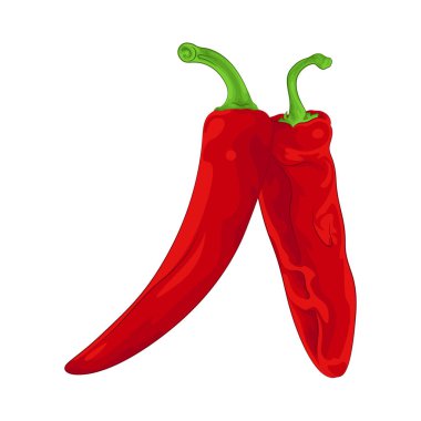 Kırmızı biberler canlı ve taze görünüyor, pürüzsüz, parlak bir cilt ve sıkı bir dokusu var. Bu da sadece hasat edildiklerini gösteriyor..