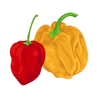 Bu biberler parlak ve taze görünüyor, pürüzsüz, parlak bir cilt ve daha yeni hasat edildiklerini gösteren sert bir doku..