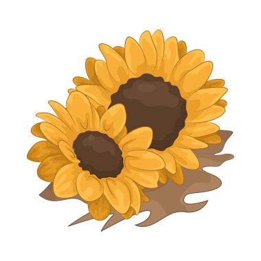 Parlak ve neşeli bir ayçiçeği Parlak sarı yapraklarıyla. 