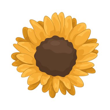 Parlak ve neşeli bir ayçiçeği Parlak sarı yapraklarıyla. 