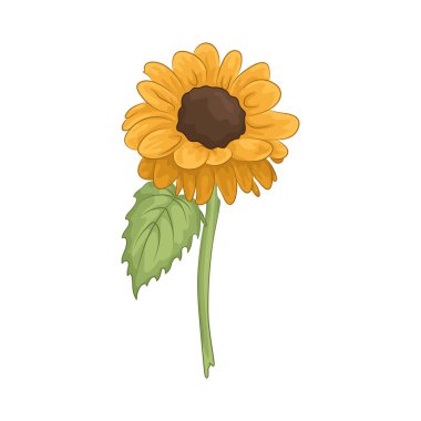 Parlak ve neşeli bir ayçiçeği Parlak sarı yapraklarıyla. 