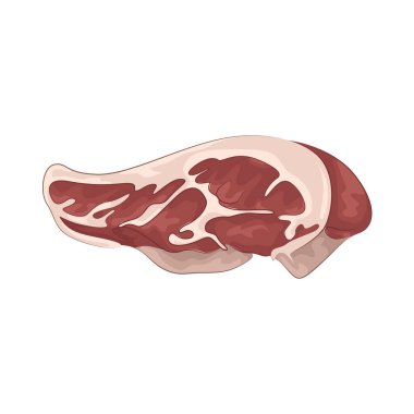 Nemli dokusu ve temiz görünüşüyle taze et. Bu taze et kırmızı renkte..