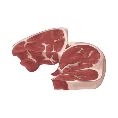 Nemli dokusu ve temiz görünüşüyle taze et. Bu taze et kırmızı renkte..