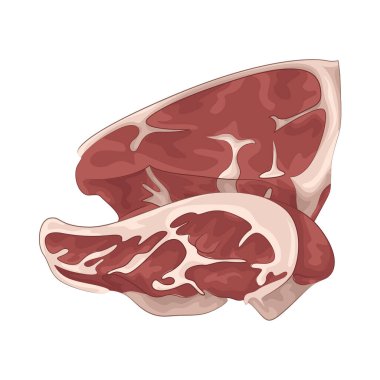 Nemli dokusu ve temiz görünüşüyle taze et. Bu taze et kırmızı renkte..