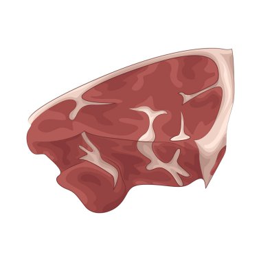 Nemli dokusu ve temiz görünüşüyle taze et. Bu taze et kırmızı renkte..