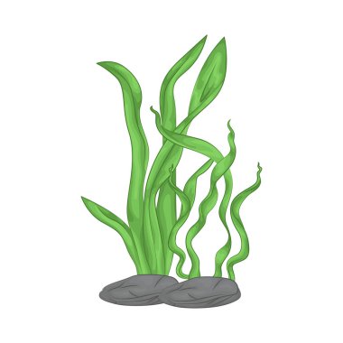 Deniz yosunu yaprakları parlak yeşil, taze ve parlaktır ve sakin bir okyanus akıntısı gibi dalgalanan zarif dalgalı kenarları vardır..