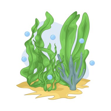 Deniz yosunu yaprakları parlak yeşil, taze ve parlaktır ve sakin bir okyanus akıntısı gibi dalgalanan zarif dalgalı kenarları vardır..