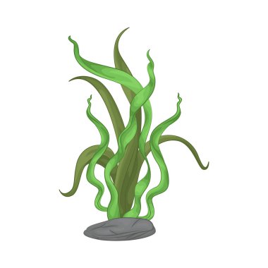 Deniz yosunu yaprakları parlak yeşil, taze ve parlaktır ve sakin bir okyanus akıntısı gibi dalgalanan zarif dalgalı kenarları vardır..