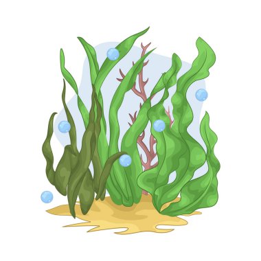 Deniz yosunu yaprakları parlak yeşil, taze ve parlaktır ve sakin bir okyanus akıntısı gibi dalgalanan zarif dalgalı kenarları vardır..