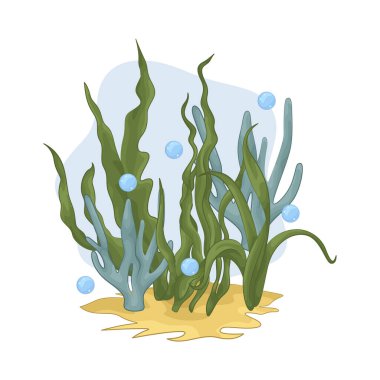 Deniz yosunu yaprakları parlak yeşil, taze ve parlaktır ve sakin bir okyanus akıntısı gibi dalgalanan zarif dalgalı kenarları vardır..