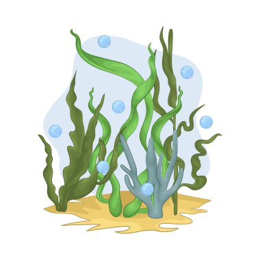 Deniz yosunu yaprakları parlak yeşil, taze ve parlaktır ve sakin bir okyanus akıntısı gibi dalgalanan zarif dalgalı kenarları vardır..