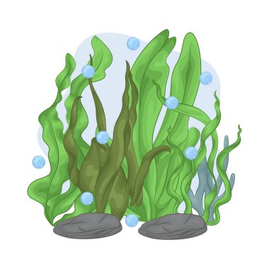 Deniz yosunu yaprakları parlak yeşil, taze ve parlaktır ve sakin bir okyanus akıntısı gibi dalgalanan zarif dalgalı kenarları vardır..