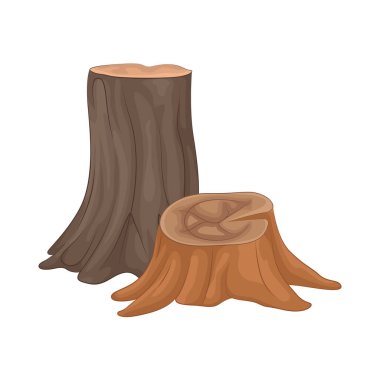 Kesildikten sonra toprağa kök salmış bir ağaç gövdesi sert bir kabuğa sahiptir. Bu da ona sağlam ve doğal bir görünüm verir..