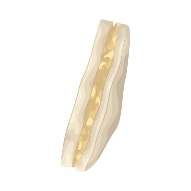 İki dilim yumuşak ve kızarmış ekmeğin arasına sıkıştırılmış taze, lezzetli malzemelerden yapılmış lezzetli bir sandviç..