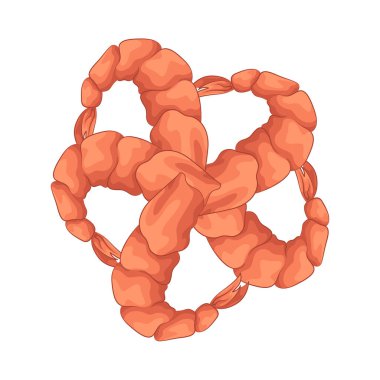 Bu lezzetli karidesler taze servis edilir ve doğal tatlı ve tuzlu bir tadı vardır. Sert ama yumuşak dokuları her ısırığı tatmin edici kılıyor. Tadı ferahlatıcı ve aroması çok çekici..