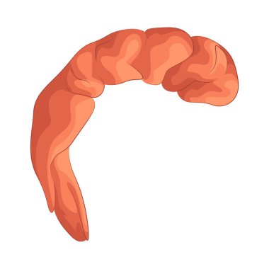 Bu lezzetli karidesler taze servis edilir ve doğal tatlı ve tuzlu bir tadı vardır. Sert ama yumuşak dokuları her ısırığı tatmin edici kılıyor. Tadı ferahlatıcı ve aroması çok çekici..