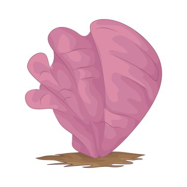 Mercan, canlı su altı resiflerini oluşturan bir deniz organizmasıdır. Okyanus ekosistemleri için esastır ve genellikle güzelliğine hayrandır.