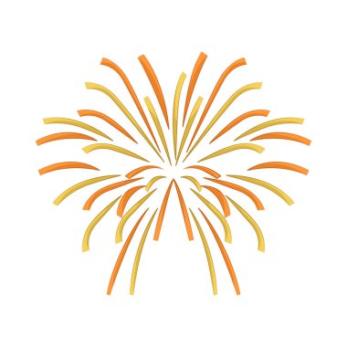 Havai fişekler neşeyi, heyecanı ve yeni bir hayatın göz kamaştırıcı başlangıcını kutluyor..