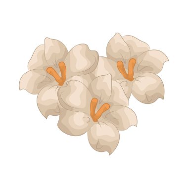 A Flower is the reproductive part of a plant, admired for its beauty, color, and fragrance, often used to express emotions and mark special occasions.