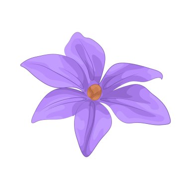 A Purple flower is a richly colored blossom that represents elegance, mystery, and creativity, frequently associated with royalty and admiration.