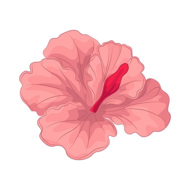 A Hibiscus is a tropical flower known for its large, colorful petals and exotic appearance, symbolizing delicate beauty and feminine charm.