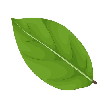 Bir yaprak büyümeyi, yenilenmeyi ve fotosentezin dünyadaki yaşamı ayakta tutan hayati sürecini sembolize eder..