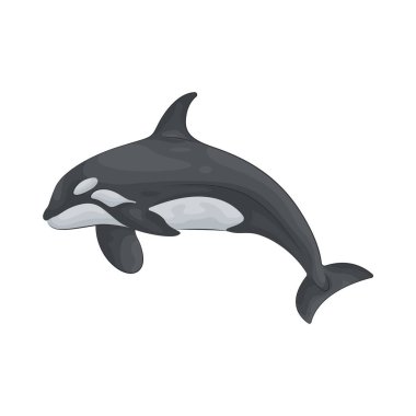 Orka, okyanus korumasını ve deniz ekosistemlerini korumanın önemini sembolize eden güçlü ve zeki bir deniz memelisidir..
