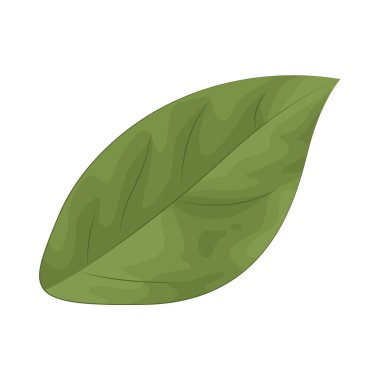 A leaf is a plants energy collector, absorbing sunlight and converting it into life-giving nutrients through photosynthesis.