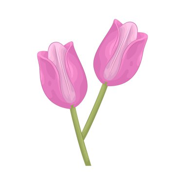 A tulip is a brightly colored, bulbous flower that blooms in spring, symbolizing renewal and the beauty of the natural world.
