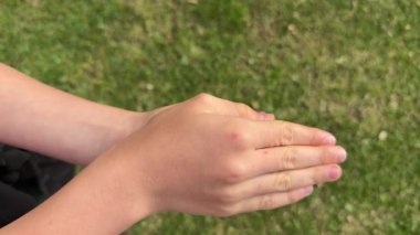 Yeşil çimenlikteki sahte gözleri ortaya çıkarmak için ellerin yavaşça açılması.. 