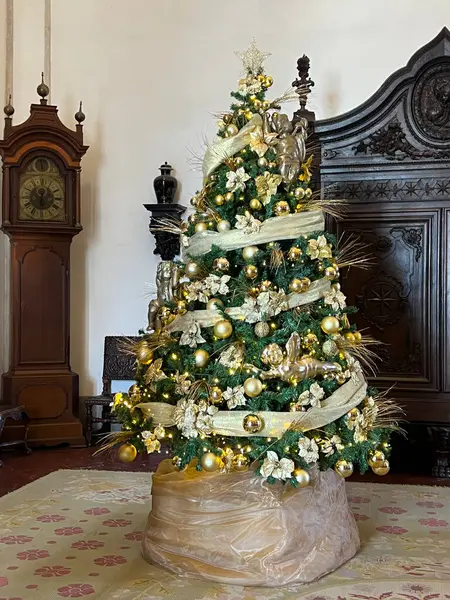 Klasik iç dekorasyonlu altın madalyalı Noel ağacı, bayram dekoru. 