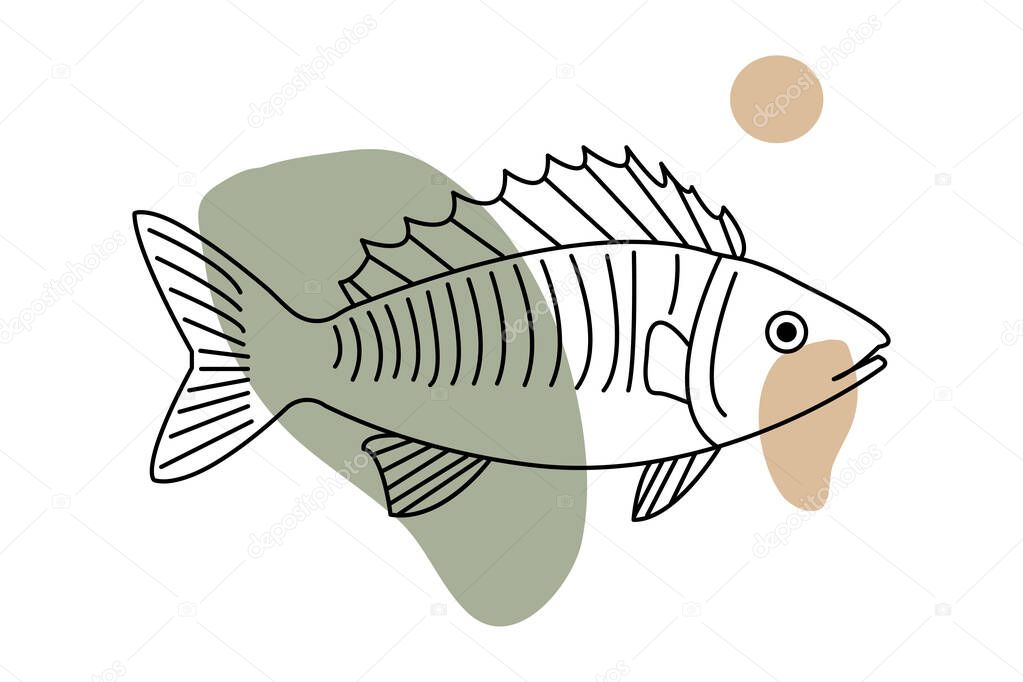 Minimalist Line Art Fish Illustration with Abstract Color Shapes on White Background