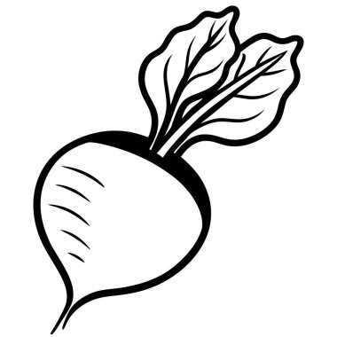 beyaz arkaplanda turp silueti resimleme ortamı