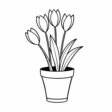 Lale bitkisinin beş detaylı çiçekli çizim çizgisi çizimi