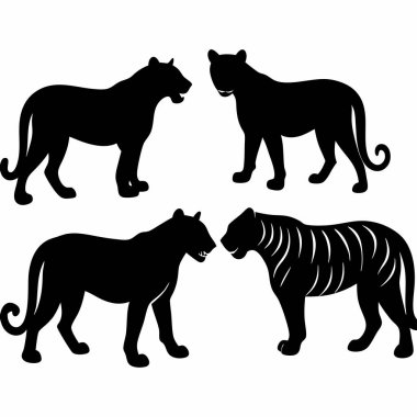 Beyaz arka planda dört siyah kaplan silueti.